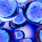 stem cell therapy in kitchener