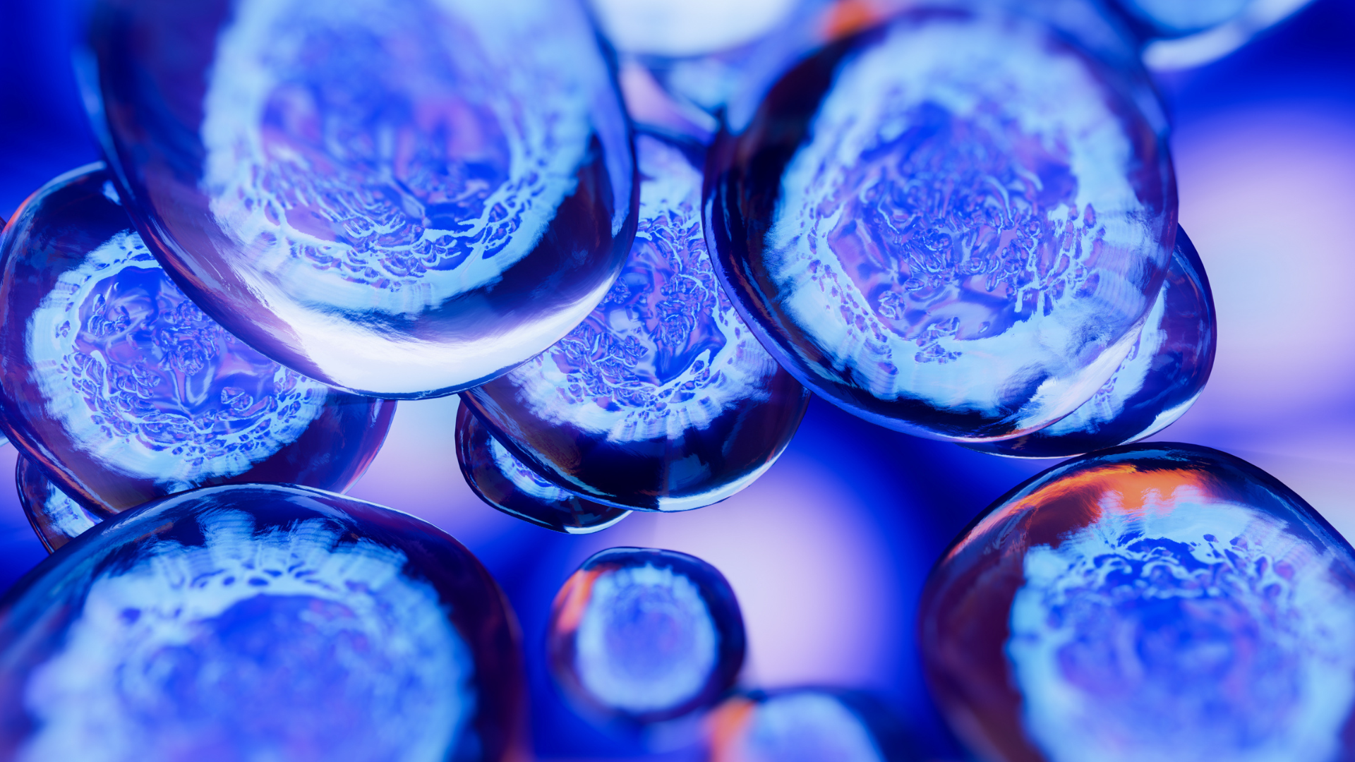 stem cell therapy in kitchener