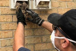 air duct cleaning services