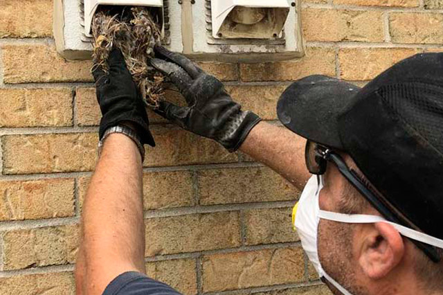 air duct cleaning services