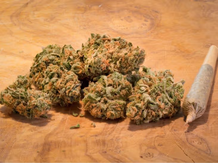 Authentic Botanical Experiences Shaping Consumer Interest Around Fresh Bros Products