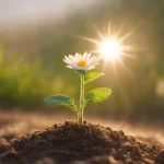 Understanding Proper Handling Methods for Maintaining Flower Condition