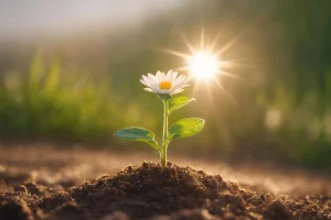 Understanding Proper Handling Methods for Maintaining Flower Condition